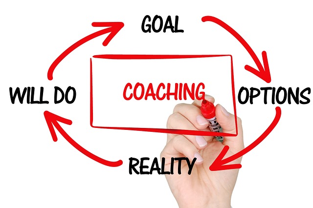 Grafik Coachingziele definieren: Ziel -> Optionen -> Realität -> Handeln -> Ziel